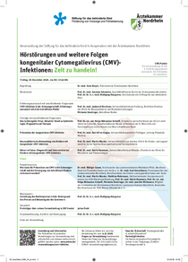 Programmflyer